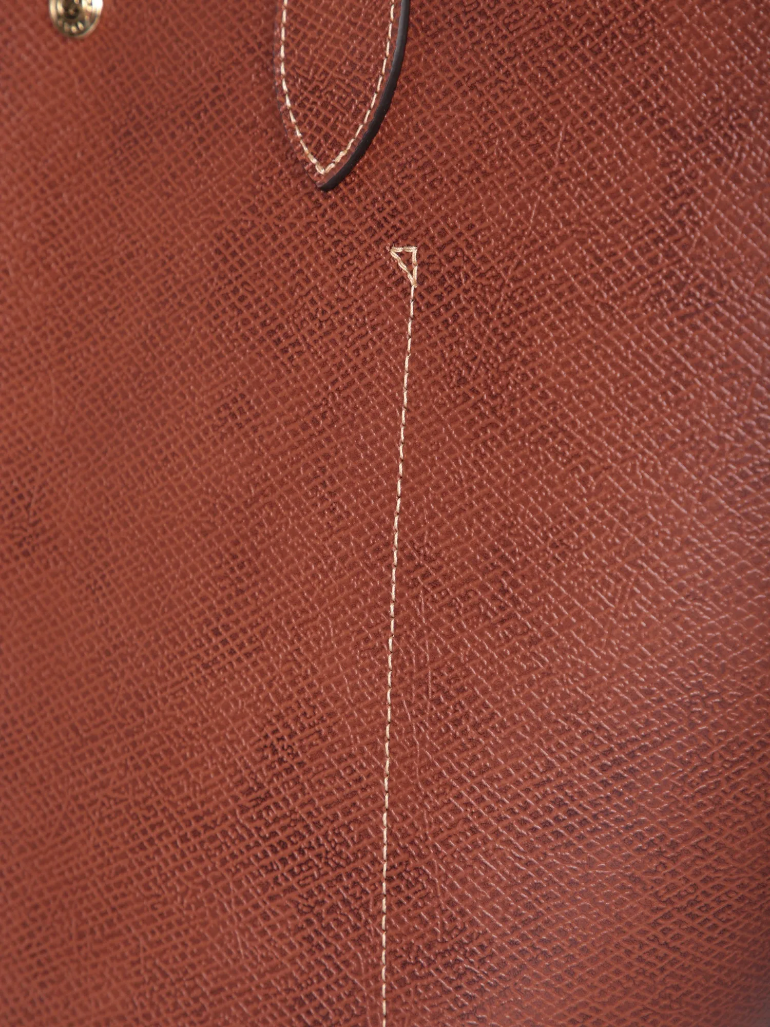 Brown Epure Handbag