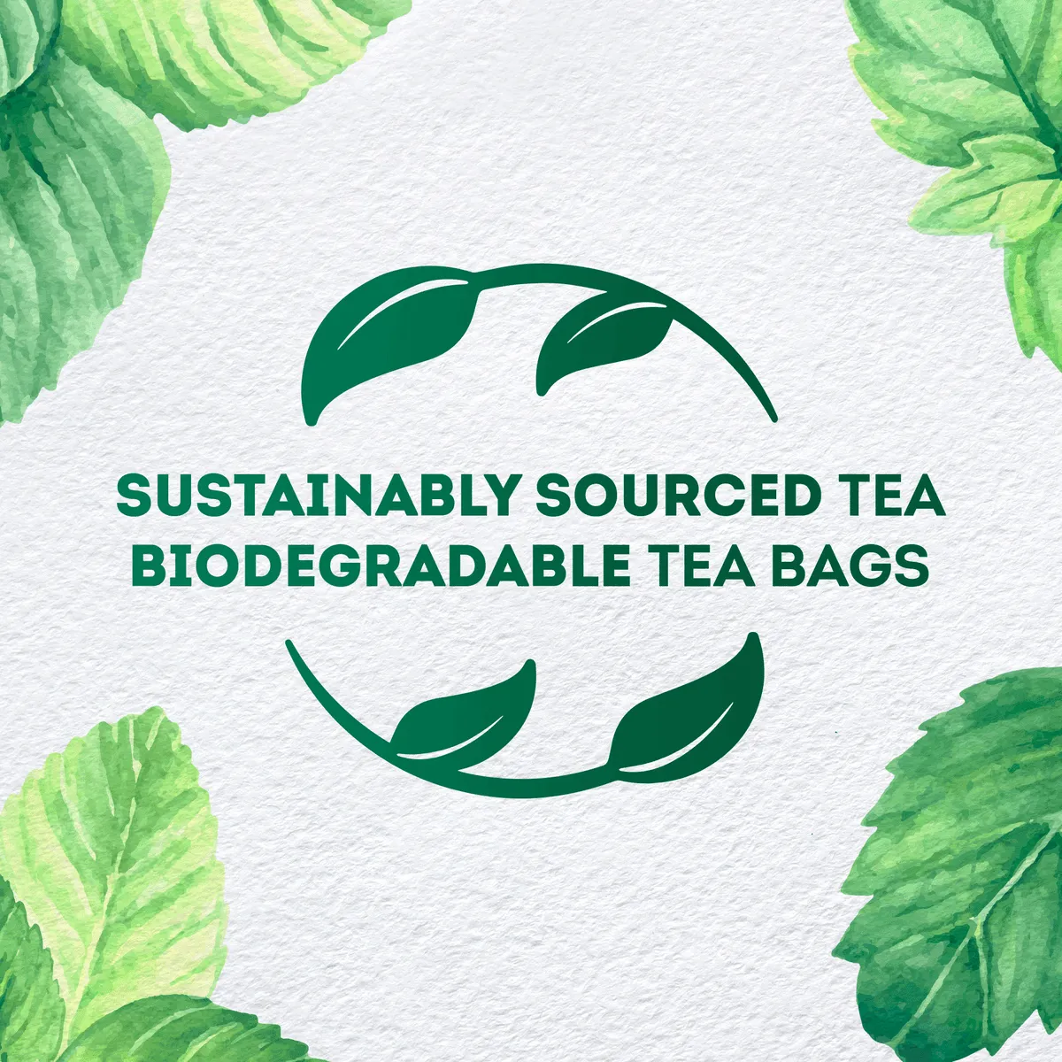 Lipton Mint Tea Herbal Infusion - 20 Tea Bags