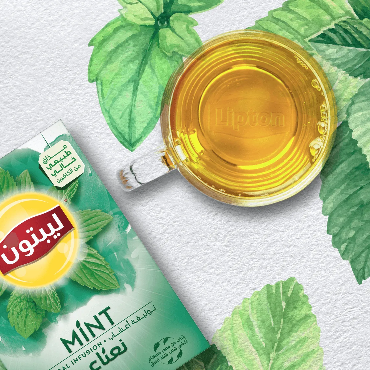 Lipton Mint Tea Herbal Infusion - 20 Tea Bags
