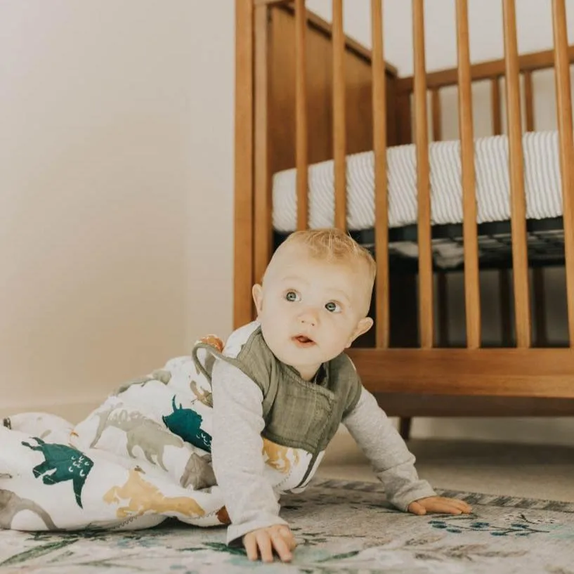 Little Unicorn Cotton Muslin Quilted Sleep Bag - Dino Friends